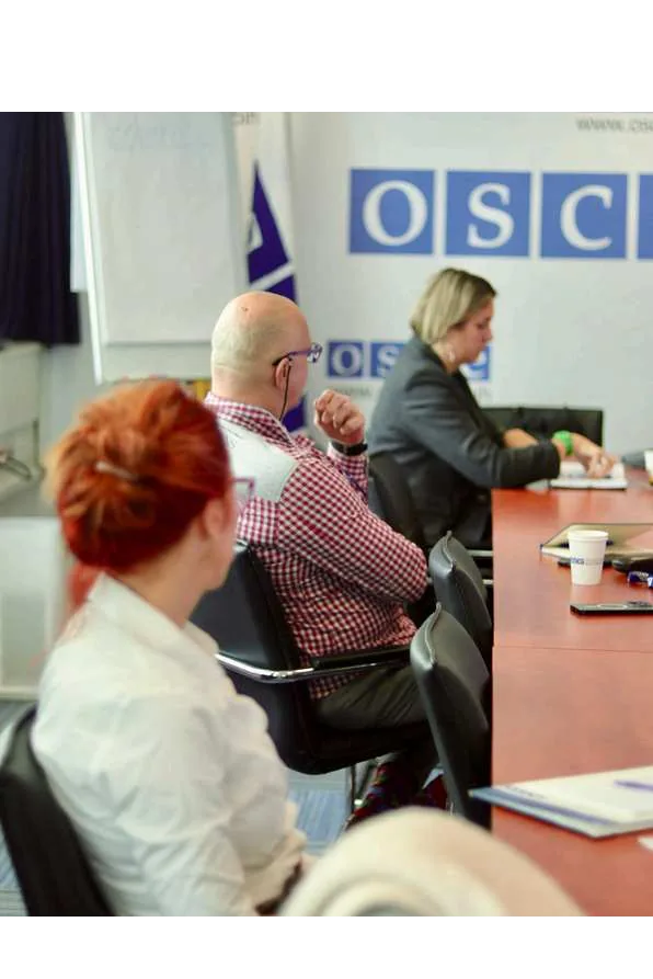 OSCE capacity-building session